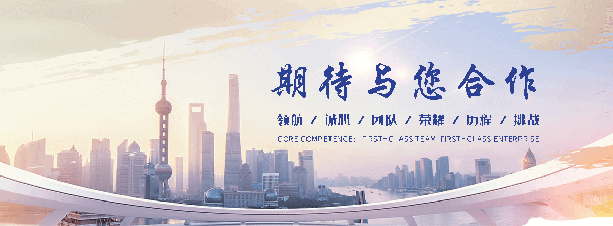 枣庄海狮租赁公司